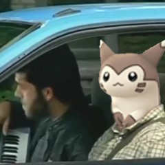 Free Furret Report