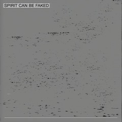 Spirit Can Be Faked
