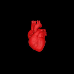 HEART BEAT