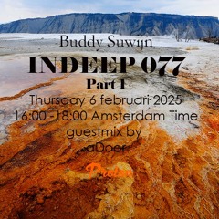 aDoor Guestmix INDEEP 077 februari 2025 @ PROTONRADIO