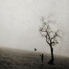grey silence - PANDA!, .dxve