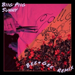Biig Piig - Sunny (B&G REMIX)