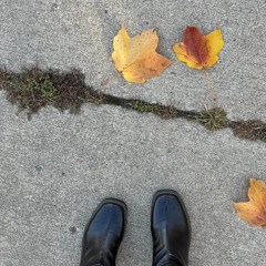 early morning (piano improv im sick aha)