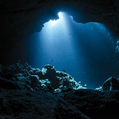 Suicide 2023 -Jeremy Reed & The Ginger Light