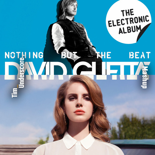 Summertime Sadness x Sunshine - Lana Del Rey x David Guetta, Avicii (Tim Underscore Mashup) (Preview)