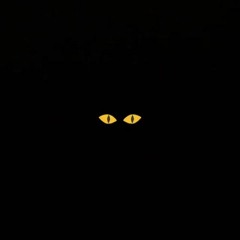 slowwwiebaby - ⋆ angel eyes ⋆ (prod. metlast) [rough]