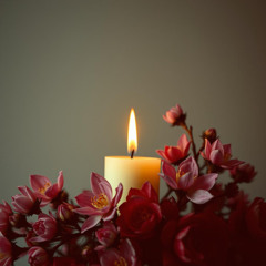 Scarlet Silence