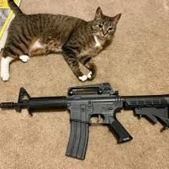 kill me prod_ zeniii + @musgo