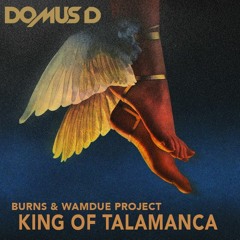 Kings of Talamanca ( Domus D rework ) - Burns & Wamdue Project