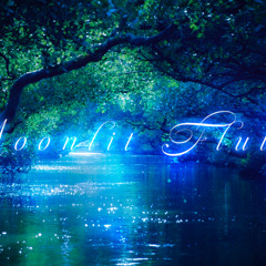 Moonlit Flutters