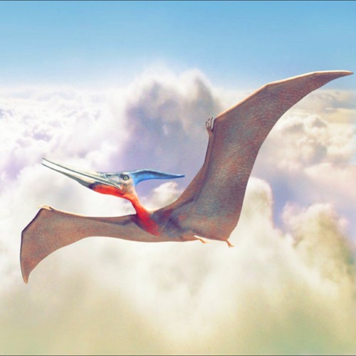 Pterodactyl [Prod. Franco8 X Audionthebeat] - Mixed by Jblock