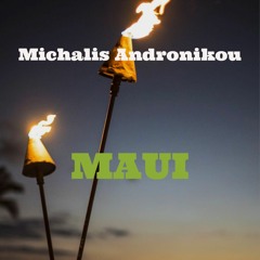 Michalis Andronikou - A playful turtle in Maui