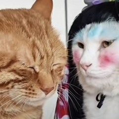 Needed you 2 ft- 2Dallii