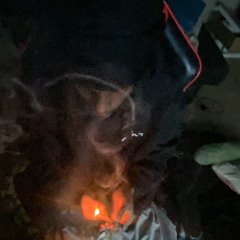 guwap in my hand (freestyle)