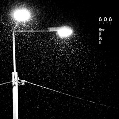 808 Catz - How U Do It