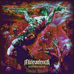 Malevolence - Salvation (𝖃𝖆𝖛𝖎𝖊𝖗 𝕽𝖊𝖒𝖎𝖝)