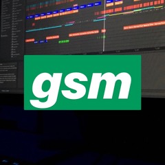 Go Stoopiddd - (gsm)