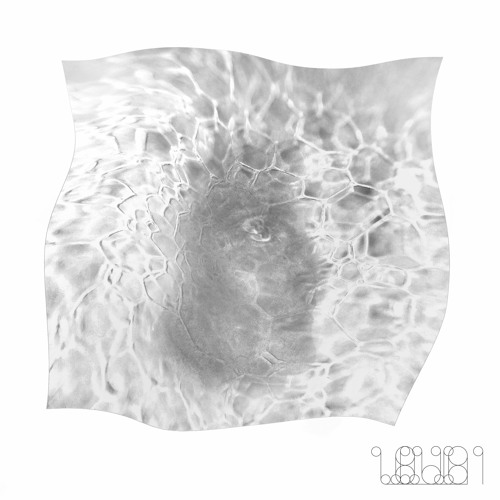 Franz Jäger - Hotmail EP [LQD005] Snippets