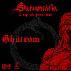 B-Day 1 ano Underground Militia