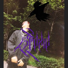 $MK freestyle