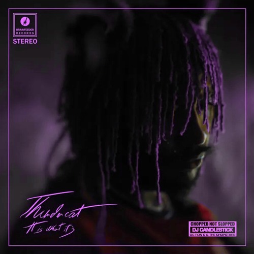 Thundercat