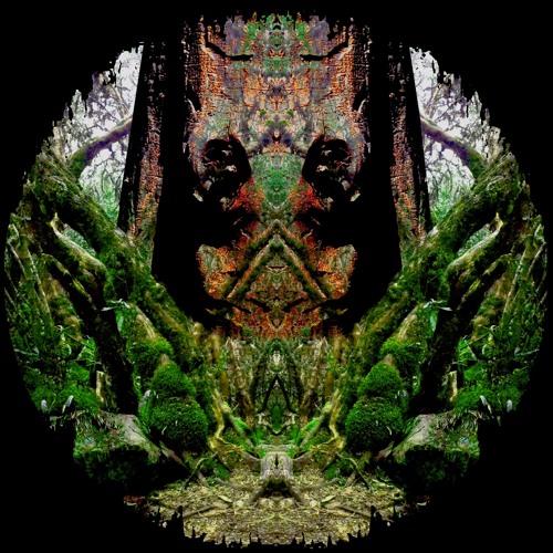 Forestdelic session*2021