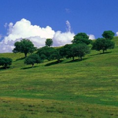 relógio~biológico