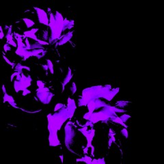 afterlife+1 (distorted others)