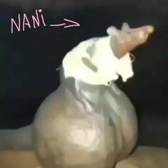 Odisséia das Bolas