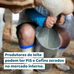 seguimeProdutores de leite podem ter PIS e Cofins zerados no mercado interno ntos agro