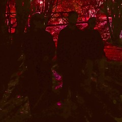 §RedFrogTribal B3B§ • Altact x SIRIUS x KEPLER-6