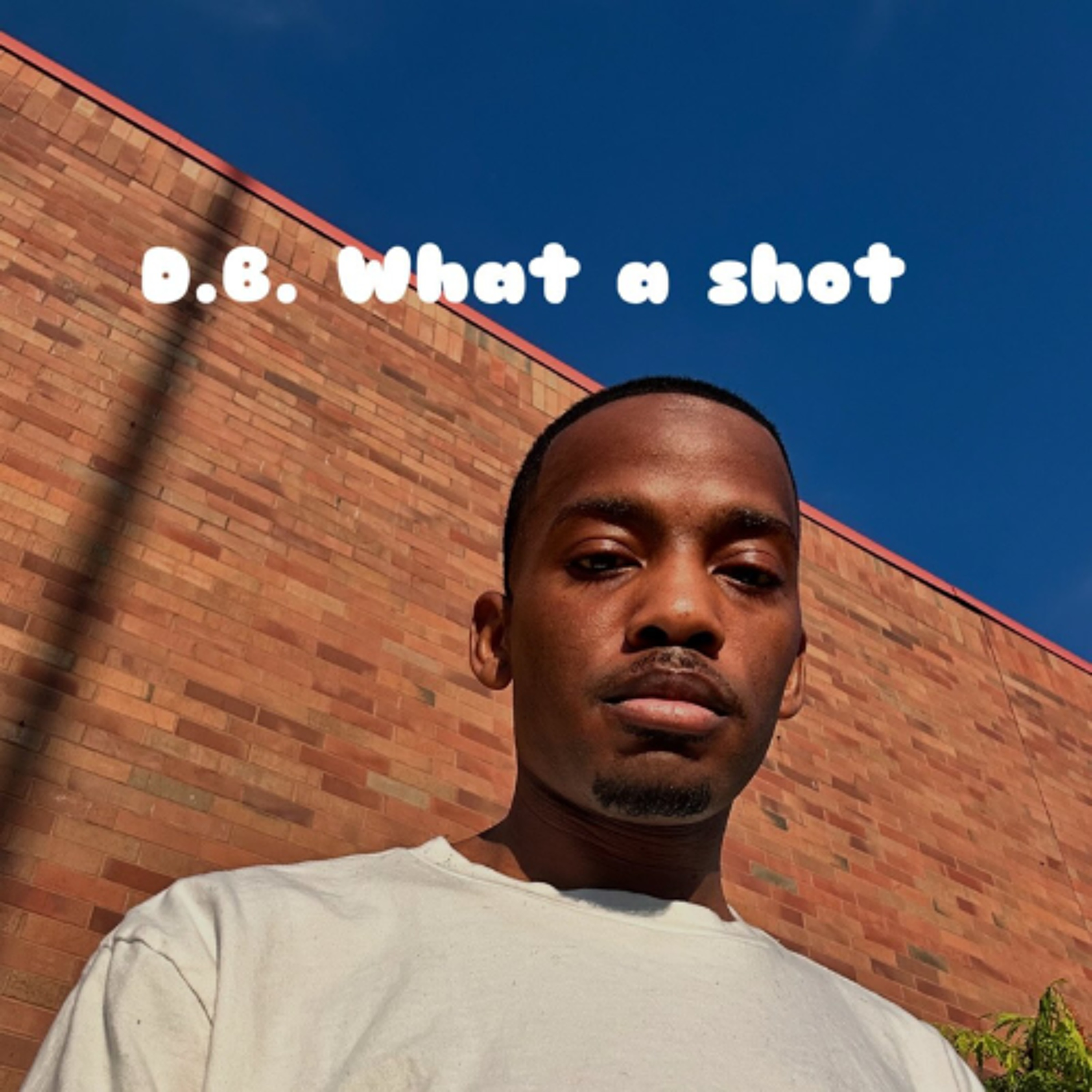D.B. What a Shot episode artwork