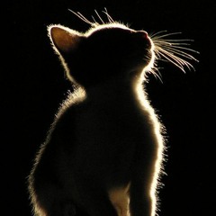 Pidä huivista kiinni ihminen