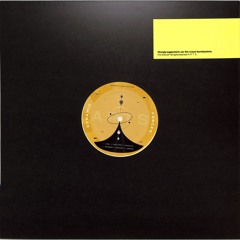 B2. Dynamic Forces - Radiant (ARTSCORE027)