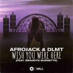Afrojack & DLMT – Wish You Were Here (feat. Brandyn Burnette) [OUT NOW]