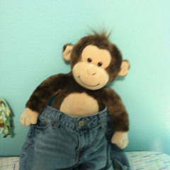 beat week lense & bullbird