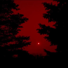 Travis Miller - NEVER SEE (Official audio