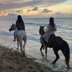 Joachim Witt - Goldener Reiter (cedriK Techno Remix)