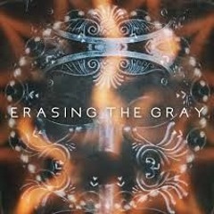 Flight Paths – Erasing The Gray