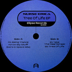 PREMIERE: Nurse Erica - Do My Stuff (Ears In Space Mix) [Ellipse Records]