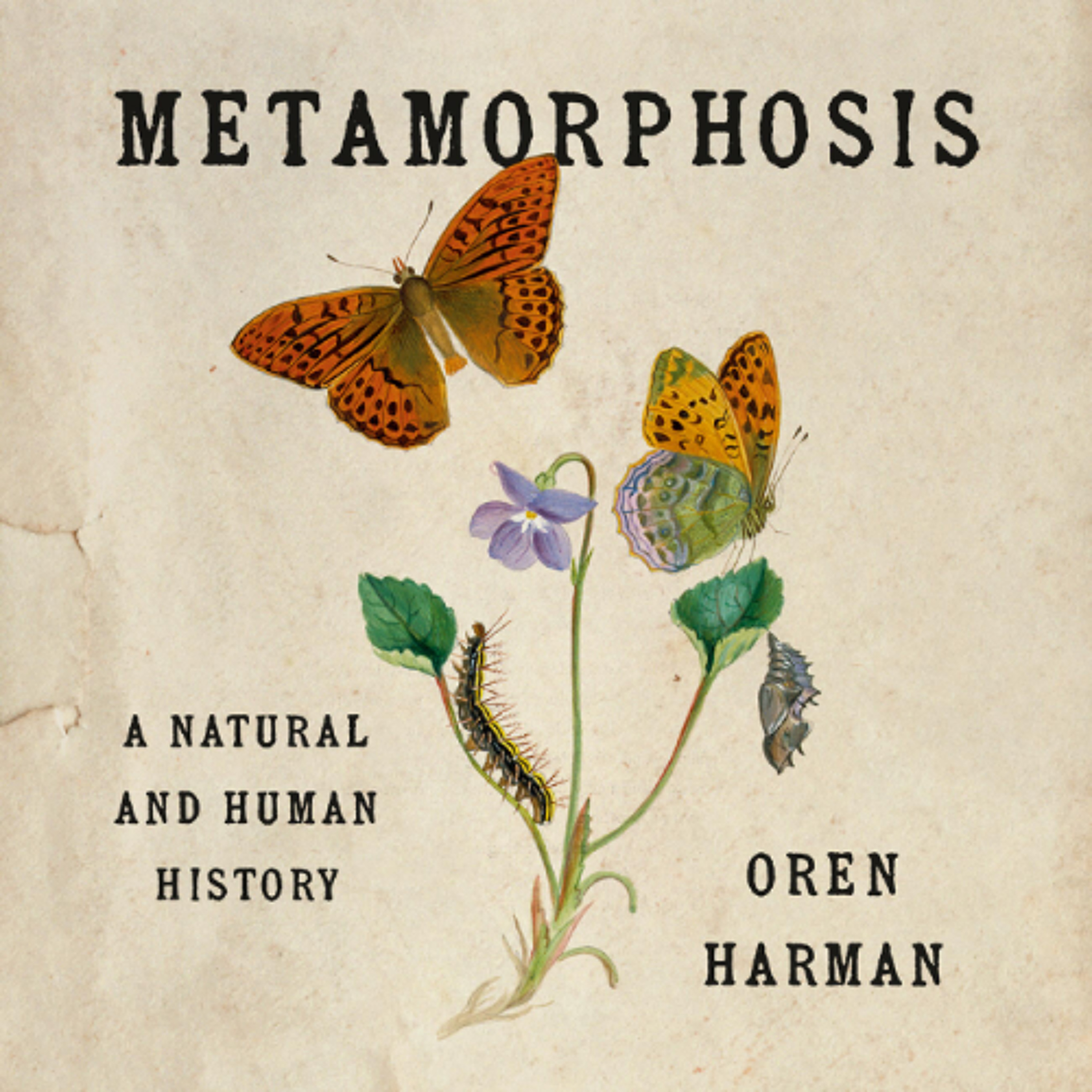 Metamorphosis by Oren Harman read by Jefferson Mays episode artwork