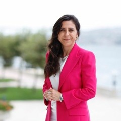 Turkey's Economic Problems and Solutions: A Small Open Economy Approach (Friday 02 June 2023)
