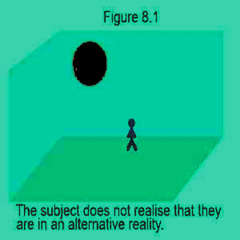 No Distortion Detected