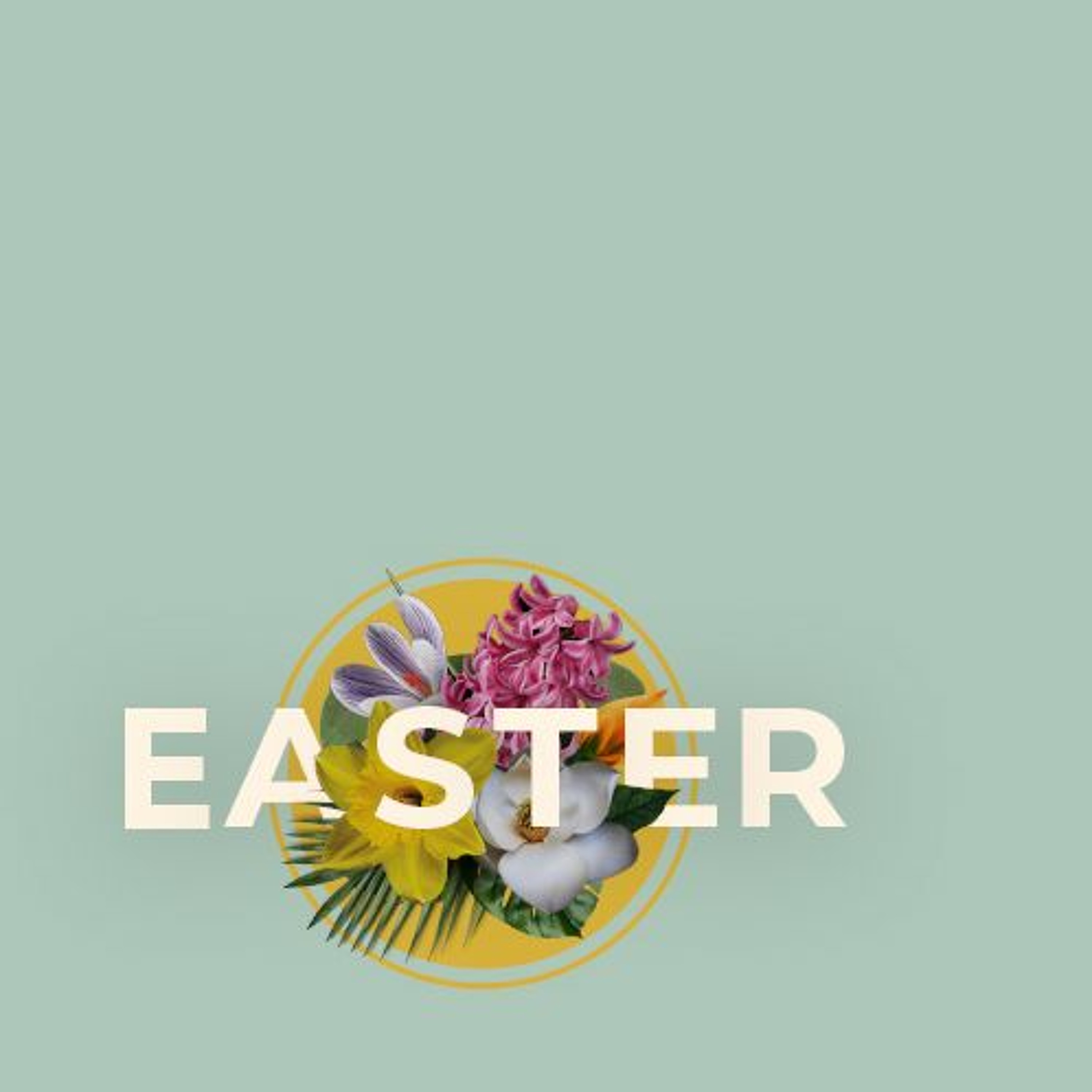 Jonathan McGill | Easter Sunday Service | Chocolates, Chicks or Jesus | 31st March 2024