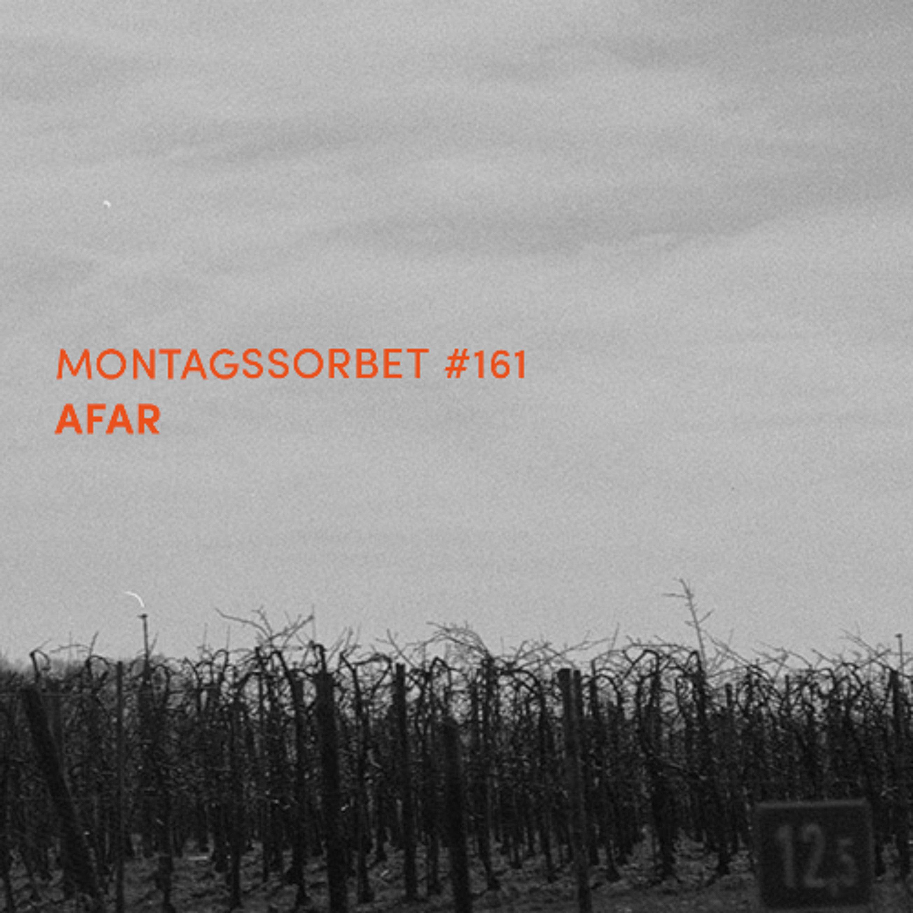 #161: AFAR - Montagssorbet mit Laut & Luise episode artwork