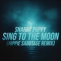 Snarky Puppy - Sing To The Moon (Hippie Sabotage Remix)