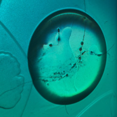 1 Hour Noise Visual Ambience 2025