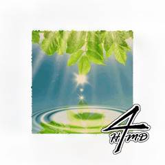 keep high [rainforest]