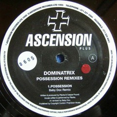Dominatrix - Possession (Baby Doc Remix)