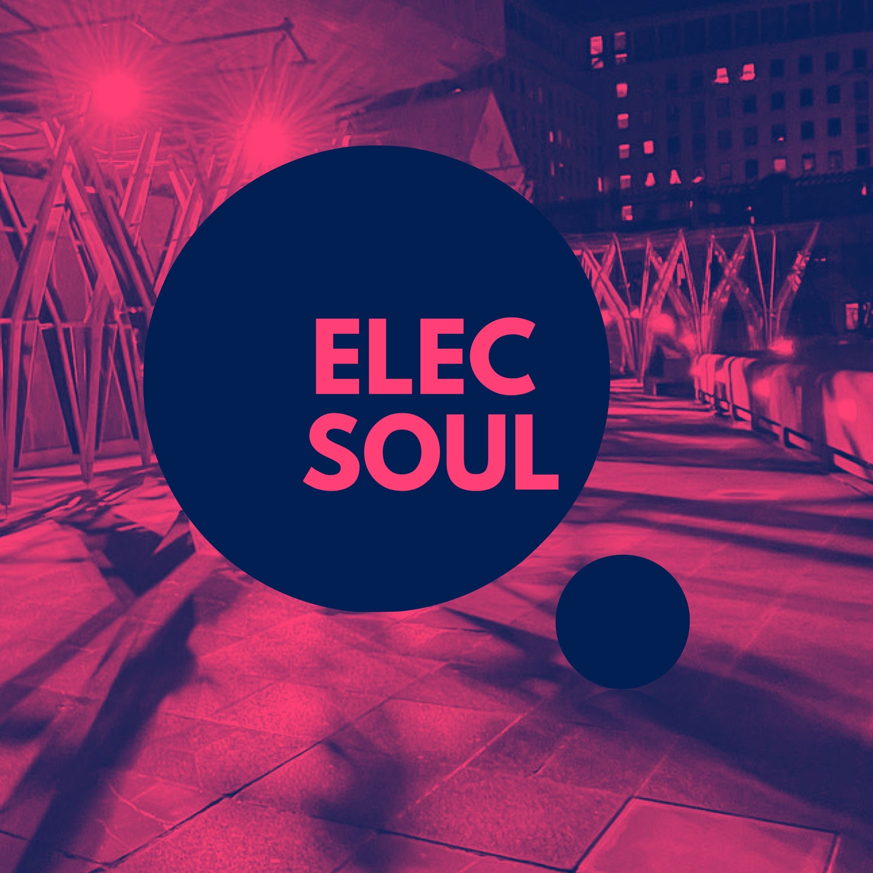 ElecSoul